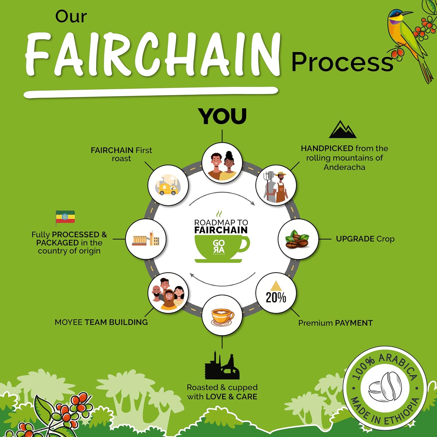 GO RA COFFEE – Ethiopian Roast Whole Bean – Organic Arabica from Ethiopia – Mycotoxin-Free, Single Origin African Beans – Roasted at Source – 250g (8.82 oz) – by Moyee Coffee