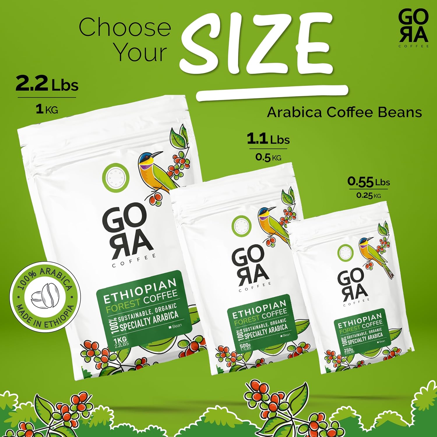 GO RA COFFEE – Ethiopian Roast Whole Bean – Organic Arabica from Ethiopia – Mycotoxin-Free, Single Origin African Beans – Roasted at Source – 250g (8.82 oz) – by Moyee Coffee