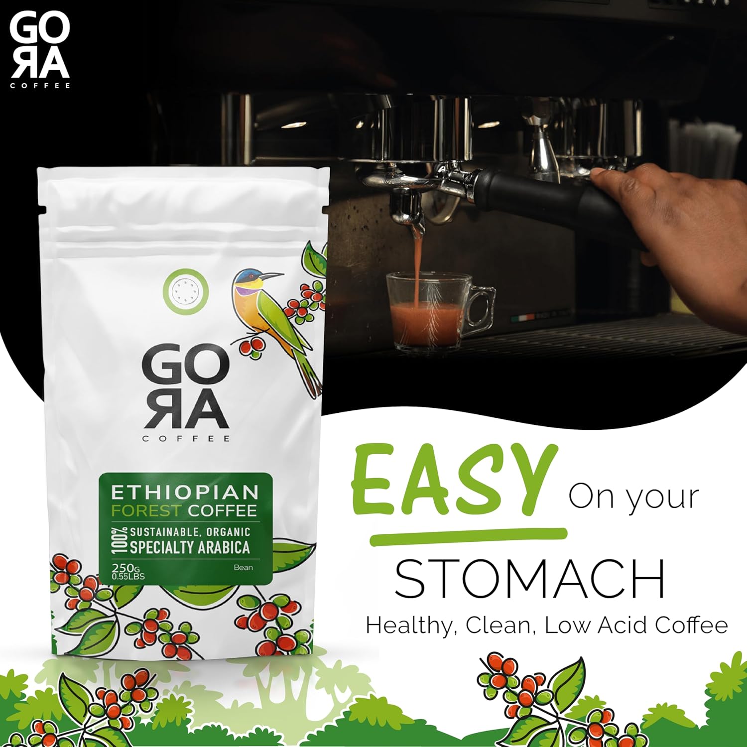 GO RA COFFEE – Ethiopian Roast Whole Bean – Organic Arabica from Ethiopia – Mycotoxin-Free, Single Origin African Beans – Roasted at Source – 250g (8.82 oz) – by Moyee Coffee