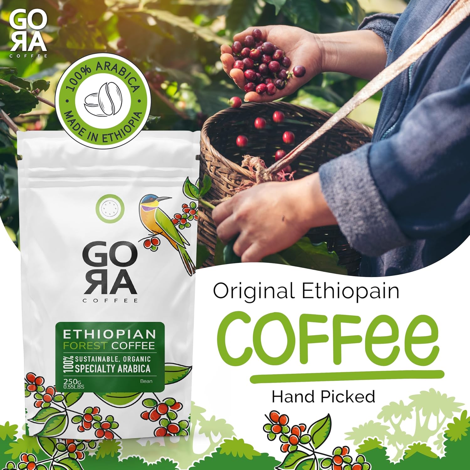 GO RA COFFEE – Ethiopian Roast Whole Bean – Organic Arabica from Ethiopia – Mycotoxin-Free, Single Origin African Beans – Roasted at Source – 250g (8.82 oz) – by Moyee Coffee