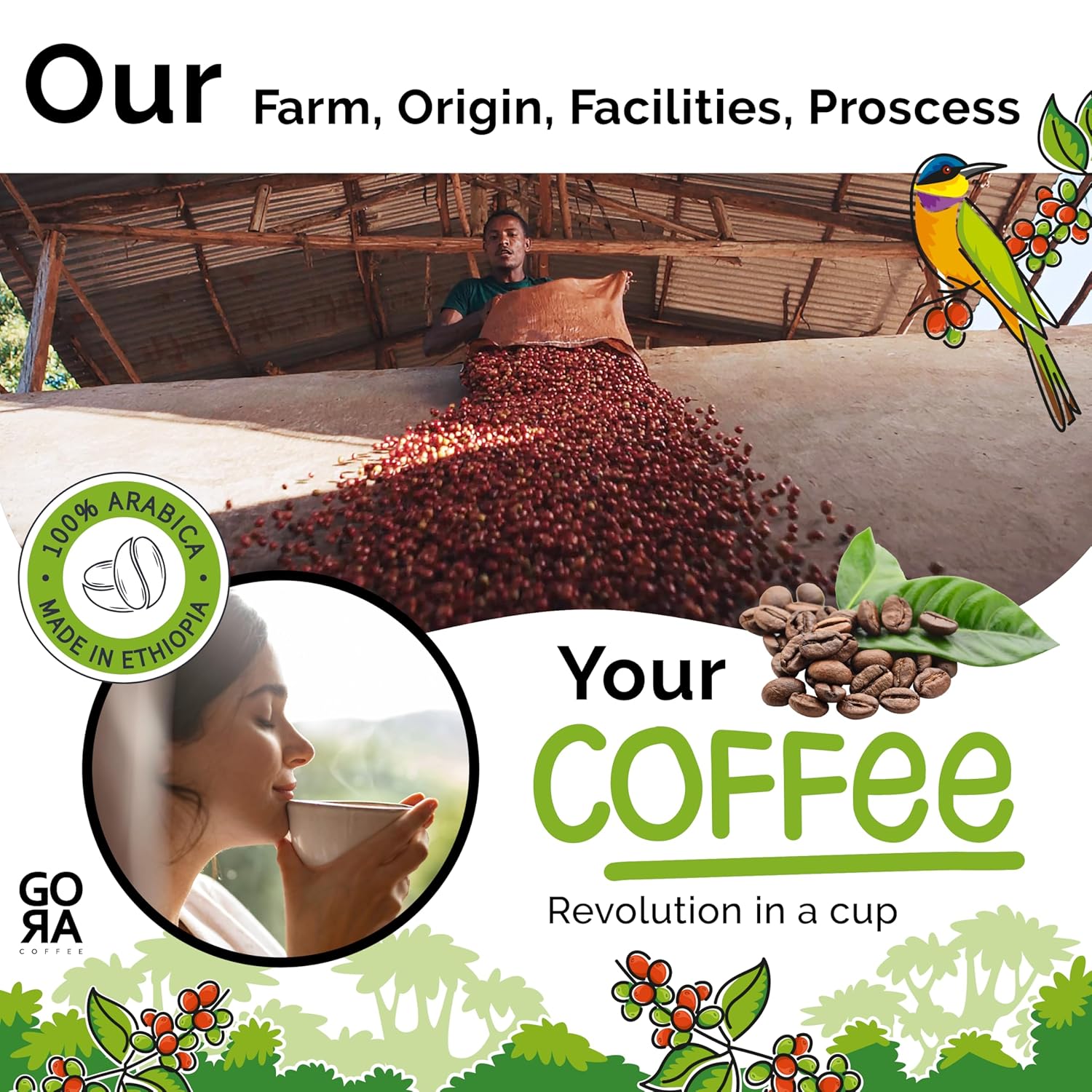 GO RA COFFEE – Ethiopian Roast Whole Bean – Organic Arabica from Ethiopia – Mycotoxin-Free, Single Origin African Beans – Roasted at Source – 250g (8.82 oz) – by Moyee Coffee