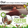 GO RA COFFEE – Ethiopian Roast Whole Bean – Organic Arabica from Ethiopia – Mycotoxin-Free, Single Origin African Beans – Roasted at Source – 250g (8.82 oz) – by Moyee Coffee