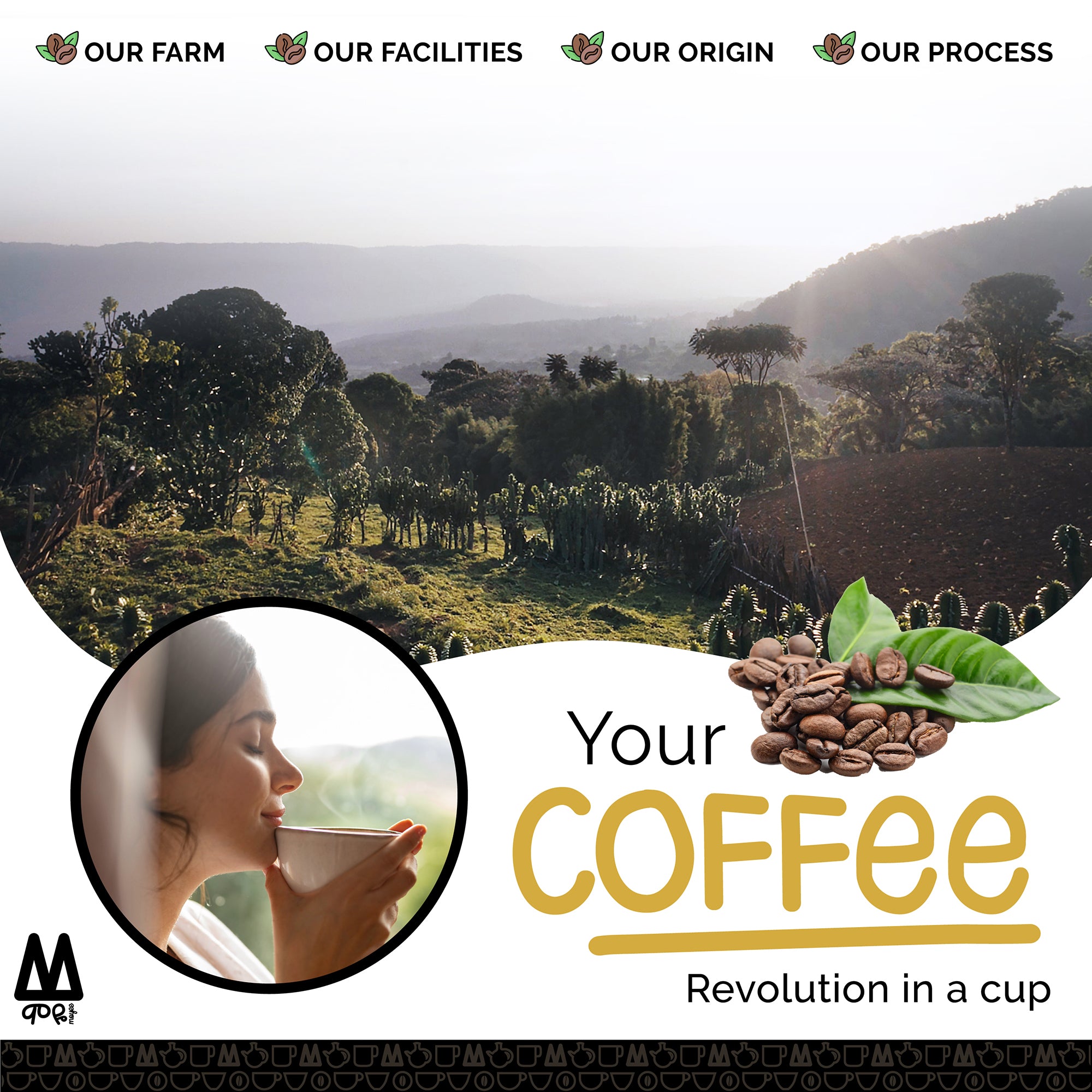 MOYEE Coffee – Ethiopian Roast Whole Bean